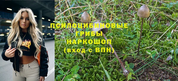 эйфоретик Алексеевка